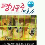 <b>안성</b>평강공주보호소-400마리 유기동물의 안식처를 마련해주세요.