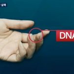 [소<b>오름</b>] 2013년 k대 훈녀 살인사건