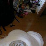 [공포베스트] <b>멘붕</b>