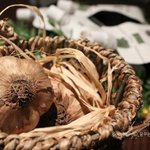 둘째 임신 준비를 위해 흑마늘<b>진액</b> 마시기 시작했어요 ^0^