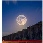 [소오름] 올해 볼 수 있다는 슈퍼문 <b>현상</b>