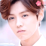 [EXO] 루한이는 모든게 부드럽다