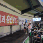 [응원녀] 흔한 <b>잠실</b>구장 응원녀 (솔로주의)
