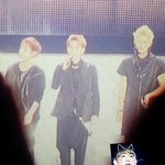 [EXO] 왜 ㅇㅅ투표에 관심이많냐 