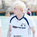 레오 운동선수 <b>인줄</b>;;