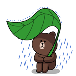 꿉꿉한 장마철에도 가볍게 쓰는 선크림, 이 정도는 돼야죠?
