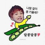 [EXO] <b>정상팬</b> 짤정화하자