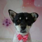 공사장 <b>인부들</b>한테 끌려가던 바우