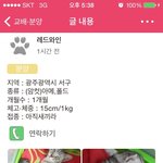 좋은 주인 만났으면 합니다..