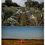 [추억파리여] <b>좀비</b>가 나올것같은 후쿠시마