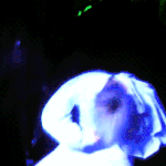 [카이] 카이 실물 후기.