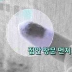 먼지다듬이가 환경에 의해 <b>좌우</b>된다네요!!!!