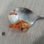 [진심개빡침] 유명프랜차이즈 'ㄷ'감자탕에서 <b>털실</b>수세미덩어리가 나왔습니다.