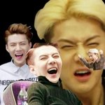 [EXO] 헐 팬톡 <b>어플</b> 나와써