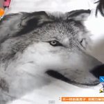 [시우민] 시우민 방, 신발장.<b>gif</b>