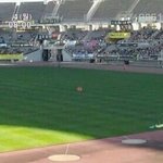 [EXO] 혼자있고싶은 <b>종이</b>니+오세니