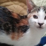 [<b>상순</b>이] 천방지축 말괄량이 <b>상순</b>이와 함께하는 동거 이야기 3