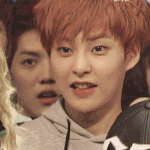 [EXO] 니들은 애들 <b>버릇</b>이나 습관 알아?