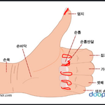 [조언부탁] 그 물어뜯는거 있잖아요