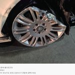 [틴펫스토리] 소름 돋는 김여사의 음주운전 <b>스킬</b>.jpg