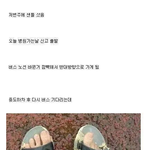 [틴펫스토리] <b>저번</b>주에 샌들 샀음