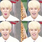 [블락비] 다들 고닉인사람들 <b>닉넴</b>