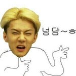 [EXO] 판에서 다운한거 <b>사진</b> 올릴수 있어서 <b>개</b>좋다