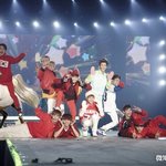 [EXO] 애들 매니저들이 팬들 때리는 움짤괘많음