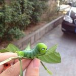 [공포베스트] <b>아이언</b>충