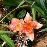 신천지 <b>신도</b> 신념과 신앙고백에 감동해