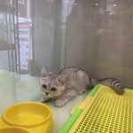 5개월된 아이 <b>입양</b>했는데..처음이라....