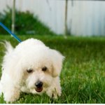 매끈한종아리 경락으로 도전해볼려고요 :-<b>e</b>