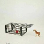 [댓글부탁] 외모를 <b>중시</b>하는 남자친구