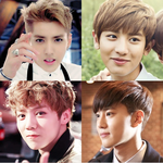 [EXO] 엑소 <b>비쥬얼</b> 탑4 알려줌ㅋㅋ