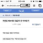 [틴펫스토리] 욕먹고있는 slr클럽의 흔한 <b>xxx</b>.jpg