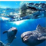 [틴펫스토리] 동물들의 놀라운 사실.jpg