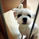 [콩<b>보리</b>] 너무 다른 성격의 콩<b>보리</b> 자매 2