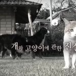 마음으로 보는 <b>사진들</b>..59