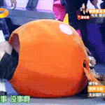 [시우민] 한번보고 두번다시보자