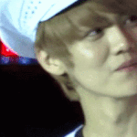 [EXO] 난비오는거좋은데