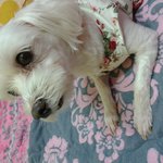 짱아 <b>짱남</b>이 왔어요