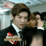 [EXO] 루한이 버프는지랄 루<b>민충</b>들 드글드글