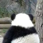 [BAP] 강석구님 안녕하세요