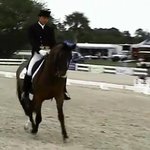 김승연 <b>차남</b> 남동생, 갤러리아 승마단