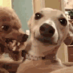 [EXO] <b>피부</b> 화장할<b>때</b> 있잖아