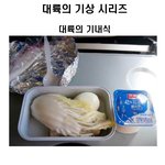 [추억파리여] <b>대륙</b>의 위엄