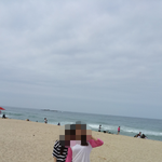 [꼭봐주세요] 제발제발!!!!!저희 <b>생명</b>의 은인을 찾아주세요ㅠ.ㅠ