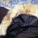 [남자패션] 캐나다구스<b>정품</b>