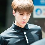 [EXO] 세훈팬들아 진짜 <b>쿠크</b>부여잡아