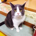 너의 이름은 <b>초롱</b>이